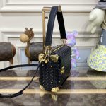 louis vuitton side trunk black 4