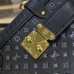 louis vuitton side trunk black 5