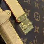 louis vuitton side trunk dark brown 7