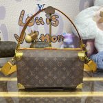 louis vuitton soul trunk east west brown 10