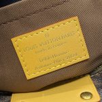 louis vuitton soul trunk east west brown 12
