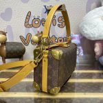 louis vuitton soul trunk east west brown 2