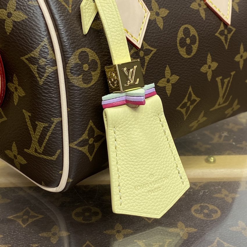 louis vuitton speedy 18 brown 12