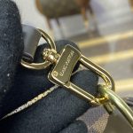 louis vuitton speedy 18 brown grid 3