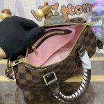 louis vuitton speedy 18 brown grid 5