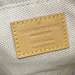 louis vuitton speedy 18 denim 7