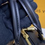 louis vuitton speedy bandouliere 20 full black 8
