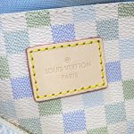louis vuitton speedy bandouliere 20 green grid 5