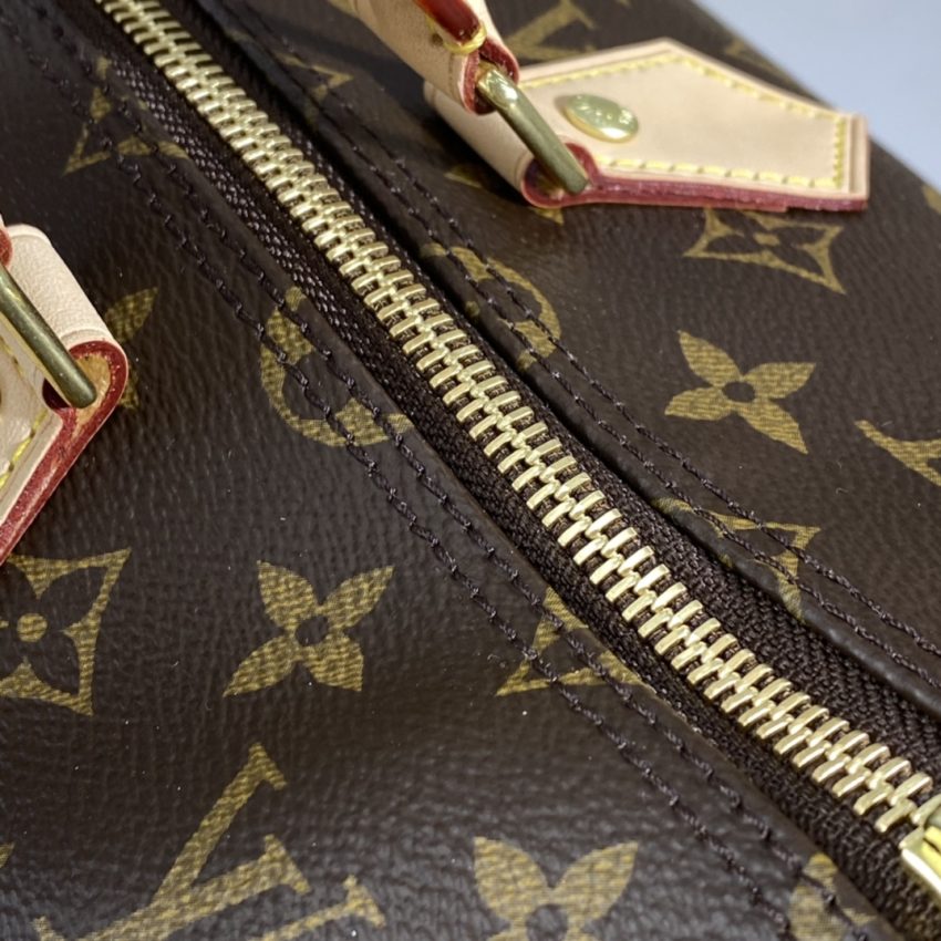 louis vuitton speedy brown 2