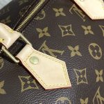 louis vuitton speedy brown 8