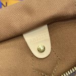 louis vuitton speedy brown 9