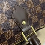 Louis Vuitton Speedy brunt rutnät 12