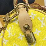 louis vuitton speedy p9 bandouliere 25 yellow 5