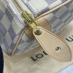 louis vuitton speedy white grid 10
