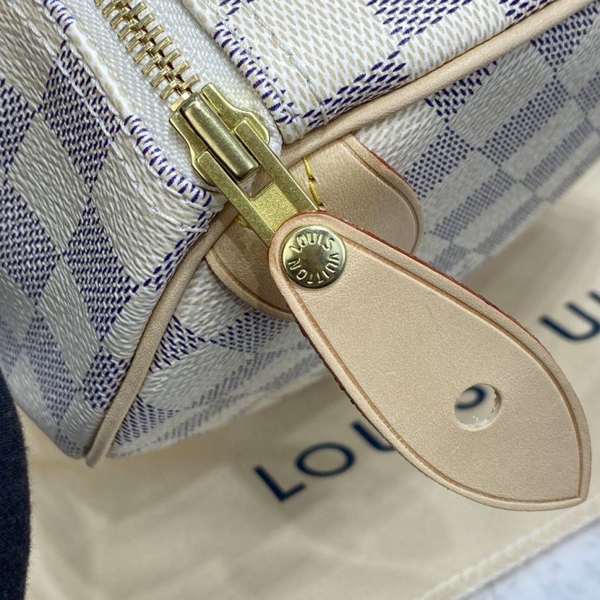 louis vuitton speedy white grid 10