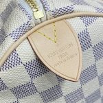 louis vuitton speedy white grid 11
