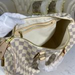 louis vuitton speedy white grid 6