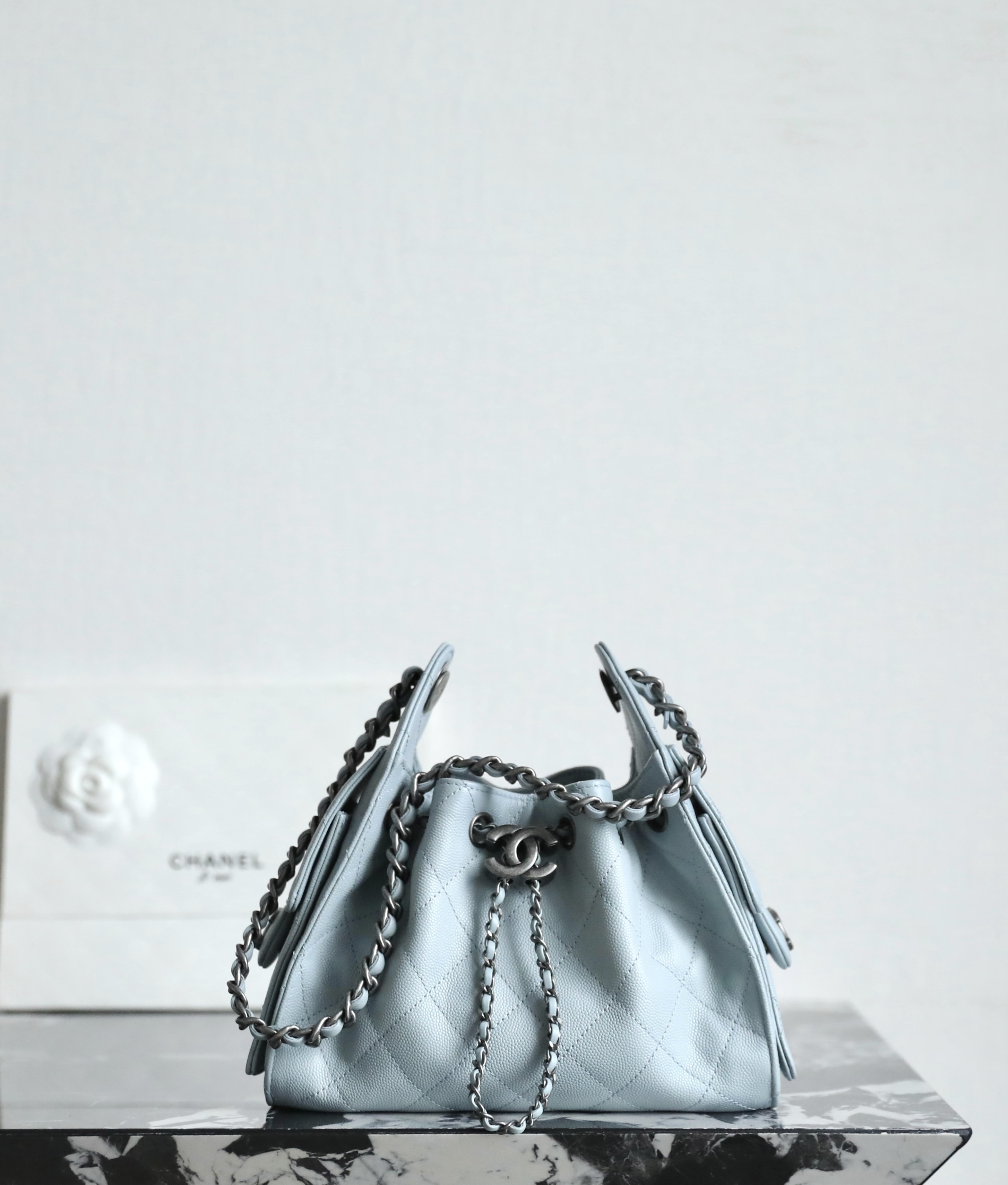 Chanel 25 Mini Bag Mineral - chanel 25 mini mineral replica front view