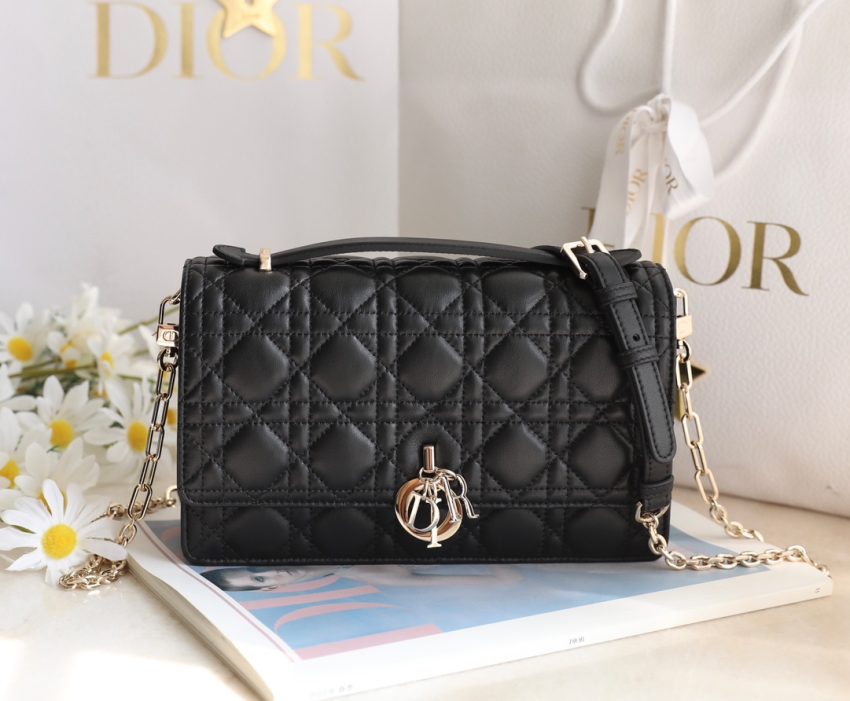 my dior top handle bag black 2