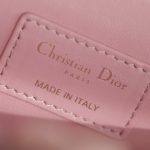 my dior top handle bag pink 9