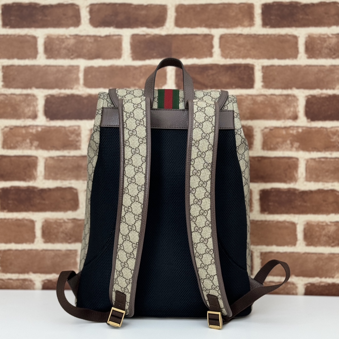 Gucci Ophidia Small GG Supreme Backpack Replica - Back View