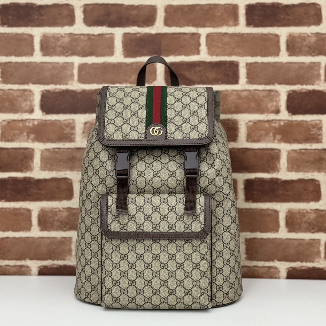 Gucci Ophidia Small GG Supreme Backpack Replica - Side View