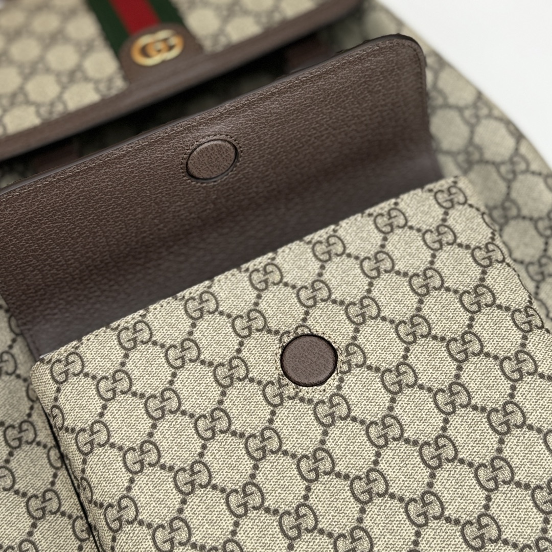 Gucci Ophidia Small GG Supreme Backpack Replica - Back View